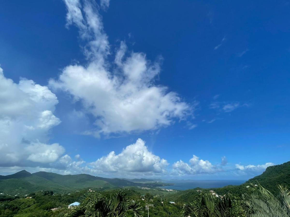 Villa Les Alizes Morne Blanc 外观 照片