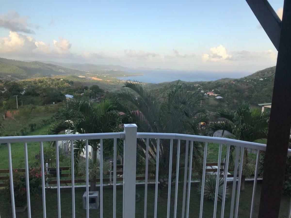 Villa Les Alizes Morne Blanc 外观 照片